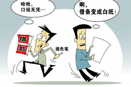 东川专业讨债公司有哪些核心服务？