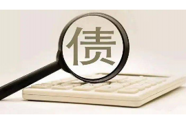 东川东川讨债公司服务